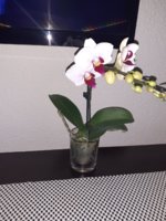 20200708_163756.jpg