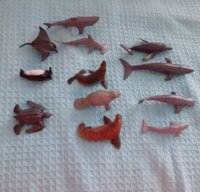 20200717_091717.jpg