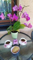 IMG_20200720_085159.jpg