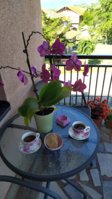 IMG_20200720_085216.jpg