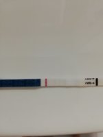 IMG_20200724_064324.jpg