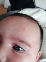 IMG_20200727_171353.jpg