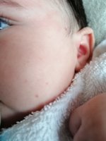IMG_20200727_171403.jpg