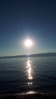 20200728_185316.jpg