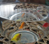 IMG_20200805_170502.jpg