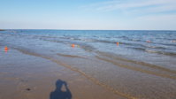 20200723_183352.jpg