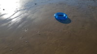 20200723_182950.jpg