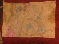20200808_201106.jpg