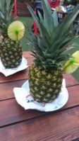 IMG_20200813_185351.jpg