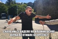 FB_IMG_1597513724024.jpg