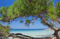 chalkidiki-paliouri-beach-greek-summer.jpg