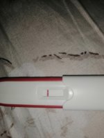 IMG_20200816_213316.jpg