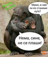 5DD7F056-2E73-4C63-8137-3CB75D3E476B.jpeg