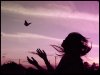 bird,freedom,grl,purple,silhouette,butterfly-50daed64a11c6f480e16e3d180f68f3b_h.jpg