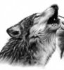 wolf-tattoo-design2.jpg