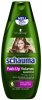 schaumapushupshampoo.jpg