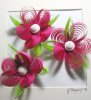 Flowers.jpg