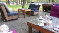 20200903_151722.jpg