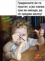 IMG-15f77c61608d14b6a8c8fdd1529c8d0f-V.jpg