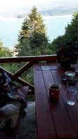 20200908_165531.jpg