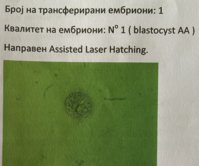 09E54FDF-460A-4DB4-A753-CBF5CE2CA61A.jpeg