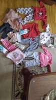 IMG_20200910_081050.jpg