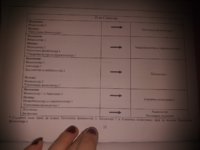 20200910_173036.jpg