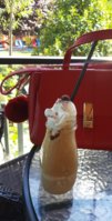 IMG_20200911_123322_738.jpg