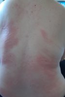 20200911_172848.jpg
