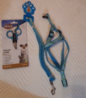 20200911_214913.jpg