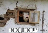 89F5983E-6B7E-49FB-8C53-44539C4AED82.jpeg