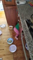 IMG_20200915_123534.jpg