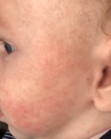 8CD62973-363C-4EB6-B60E-1AD1403AE0DB.jpeg
