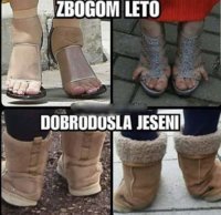 FB_IMG_1600422653836.jpg