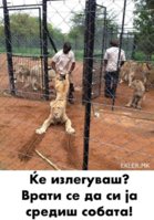 5E207723-27D7-46E2-8AF2-67941E0B3EA1.jpeg