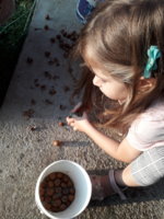 20200920_173911.jpg