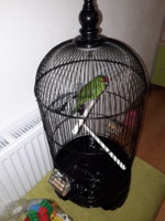 20200921_223214.jpg