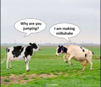 FB_IMG_1600776786537.jpg