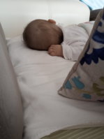 IMG_20200924_110010.jpg