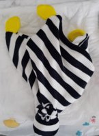 20200925_125010.jpg