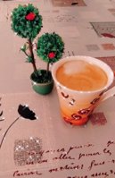 IMG_20200927_164449.jpg