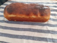 20201002_132440.jpg