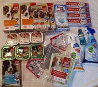 20201002_224731.jpg