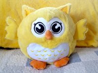 20201004_142157.jpg