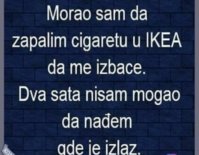 20201009_135509.jpg
