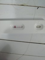 IMG_20201011_074453.jpg