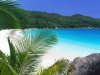 beachwallpaper1.jpg