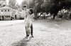 keegan-allen-troian-bellisario-flirting_large.jpg