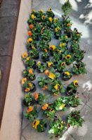 20201012_142933.jpg