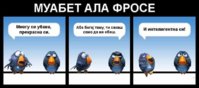 FB_IMG_1602700910381.jpg